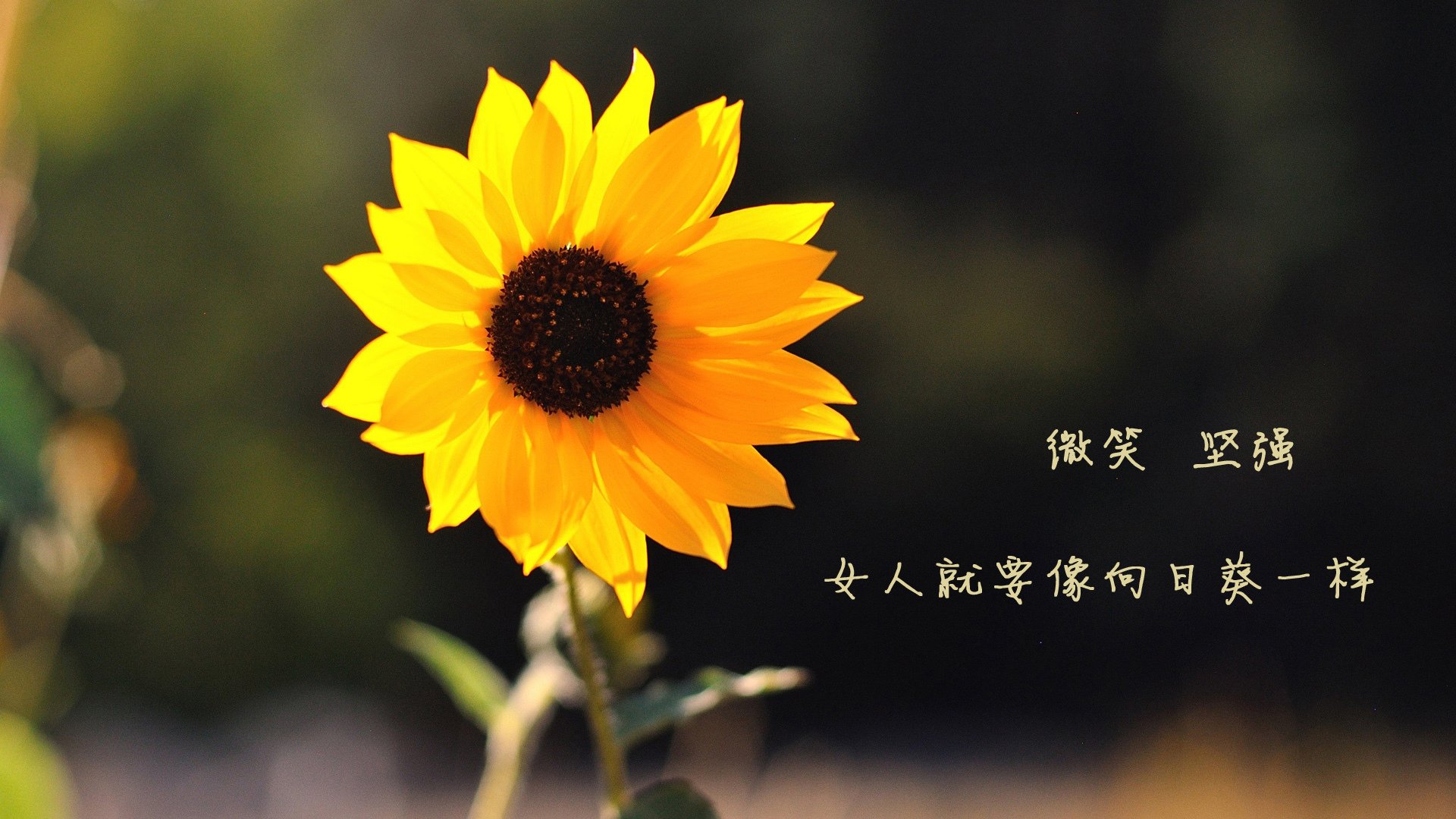 “经典比赛重温：那些年我们共同追忆的篮球瞬间”，回忆篮球比赛的句子