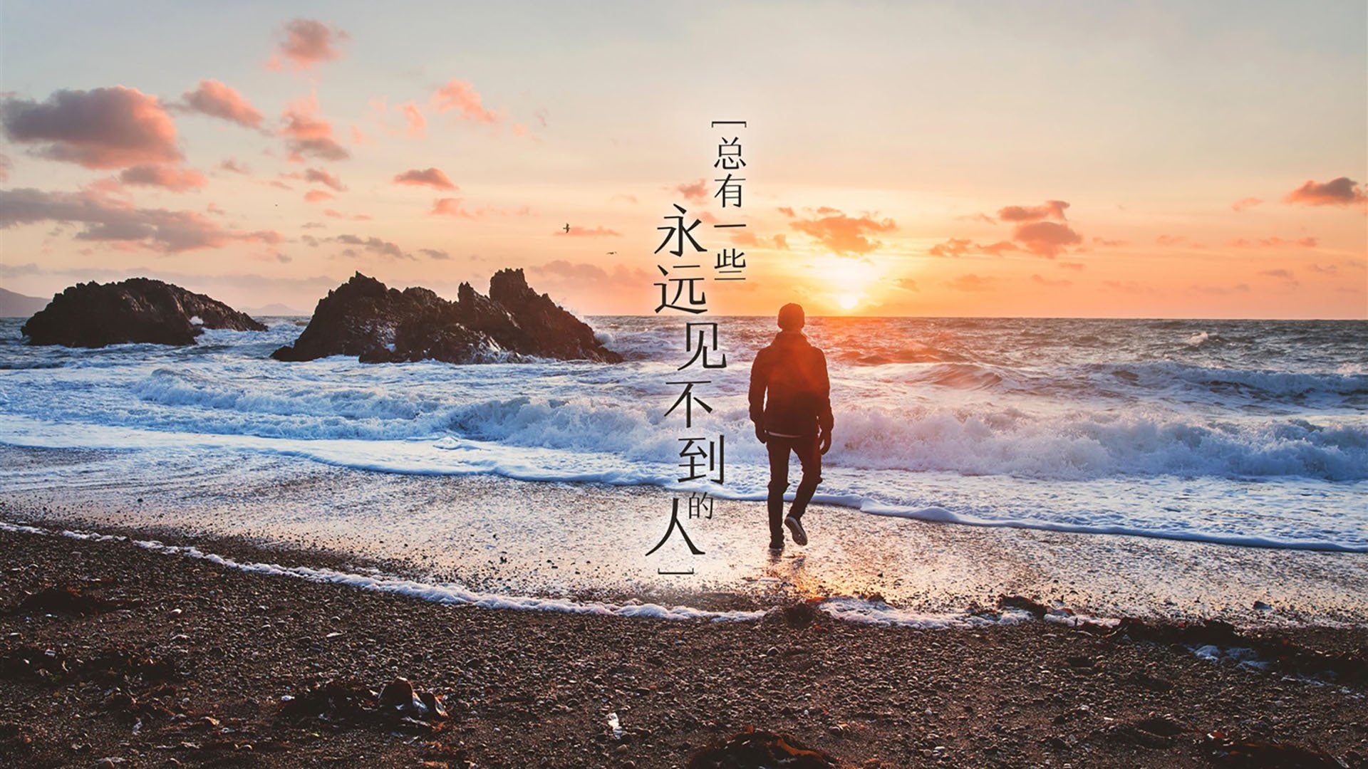 可持续材料在赛车制造中的创新应用，可持续的材料有哪些
