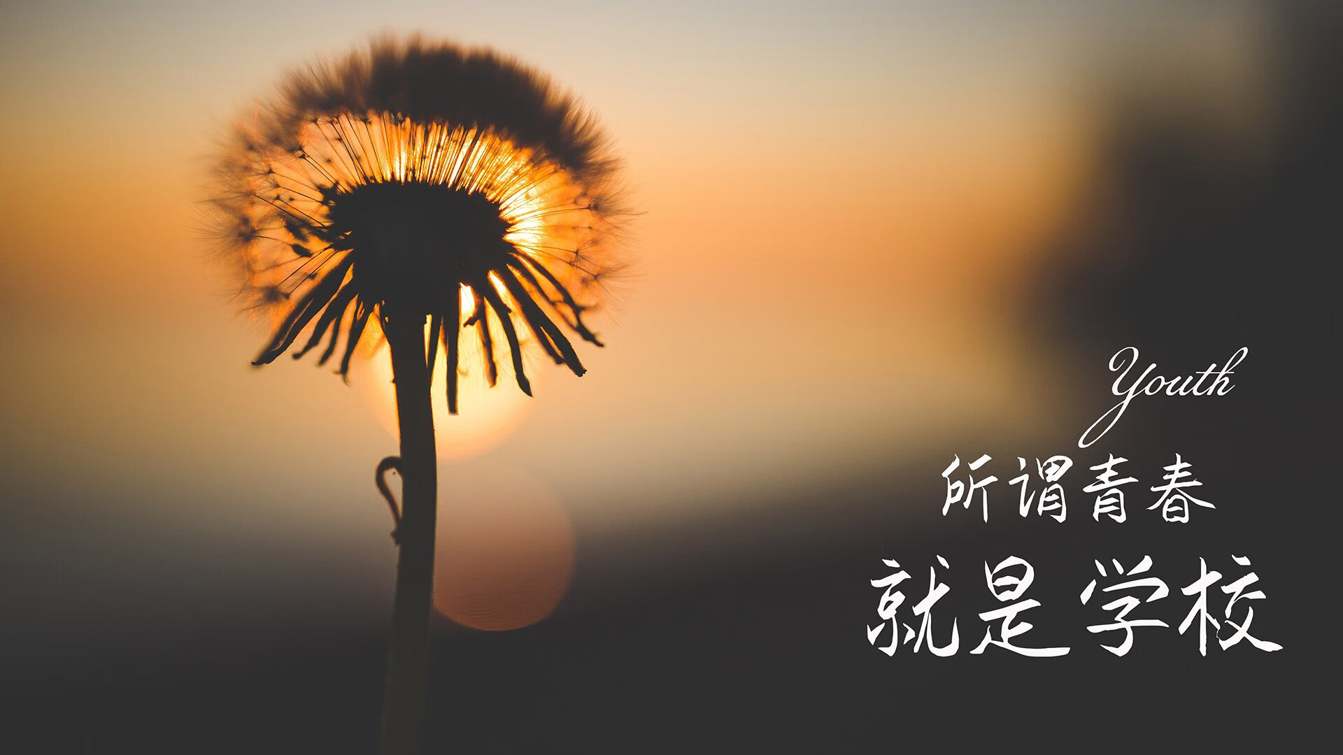 全北现代中场组织节奏流畅，全北现代比赛分析