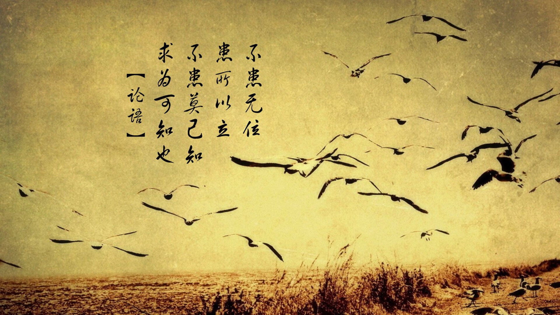 阿尔阿赫利防守体系稳定可靠，阿尔阿赫利埃及