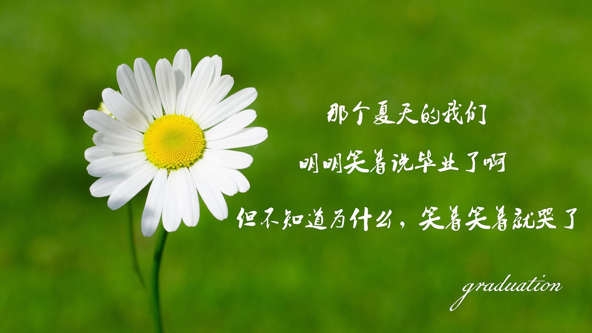 中国篮球运动员力量训练方法创新研究，篮球力量训练计划设计的七个步骤