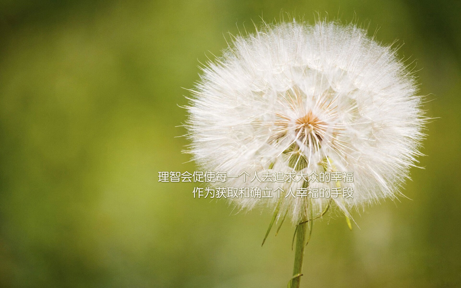 篮球进乡村计划稳步推进推动运动普及全民健身提速，乡村篮球发展现状